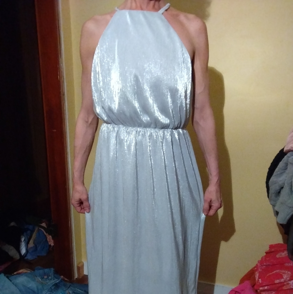 House of Harlow Silver Pleated Maxi Dress